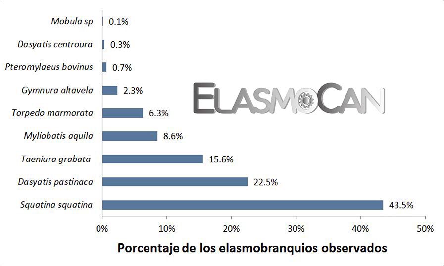 Ciencia Ciudadana ElasmoCan: Avistamiento de los elasmobranquios por buceadores recreativos en El Cabrón (Gran Canaria).